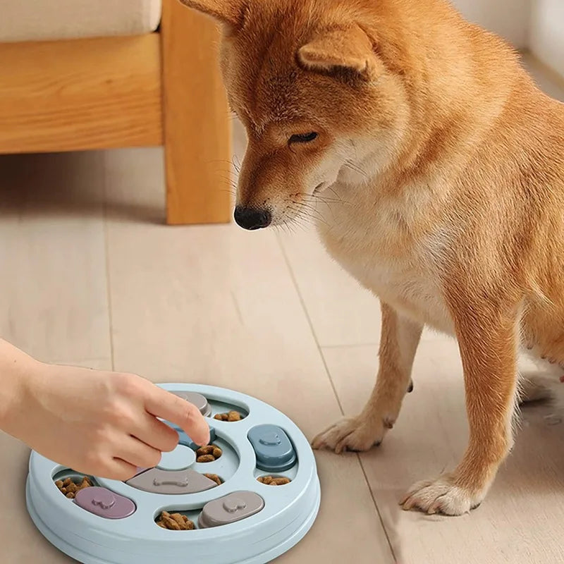 Dog Bowl-1
